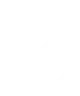 Dendexol - GELİŞMİŞ TİCARET GÜVENLİĞİ